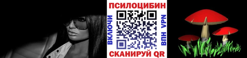 Галлюциногенные грибы Psilocybe  Купить где  Юрьев-Польский 